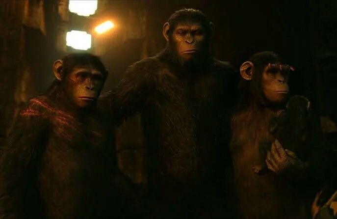 three monkeys standing next to each other in the dark