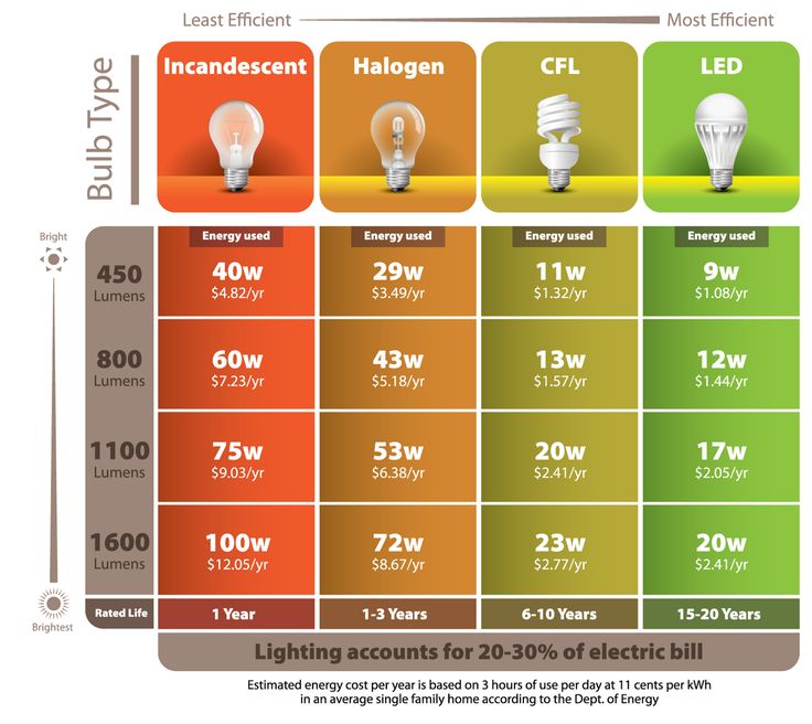 the different types of light bulbs are shown in this diagram, which shows what they look like