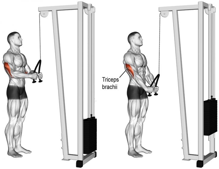 an image of a man doing exercises on the pull - up bar in front and back view