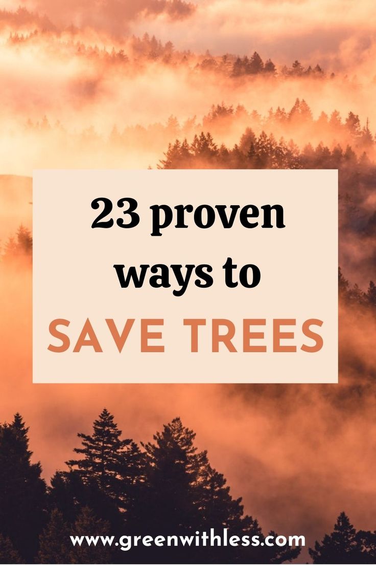 How to Save Trees: 23 Impactful Ways to Take Action - Green With Less ...