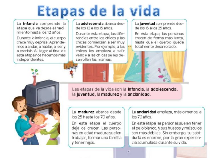 Etapas de la vida | Etapas de la vida, Vida, Mientes