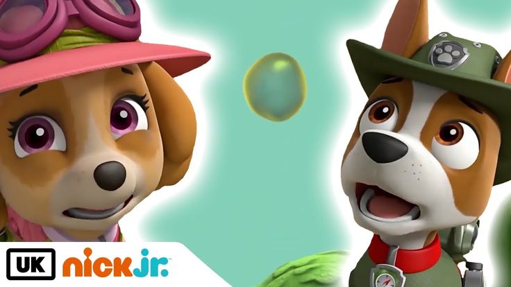 two dogs wearing hats and goggles are in front of an image of soap bubbles