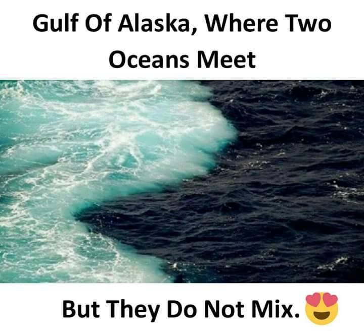 an ocean with the words gulf of alaska, where two oceans meet but they do not mix