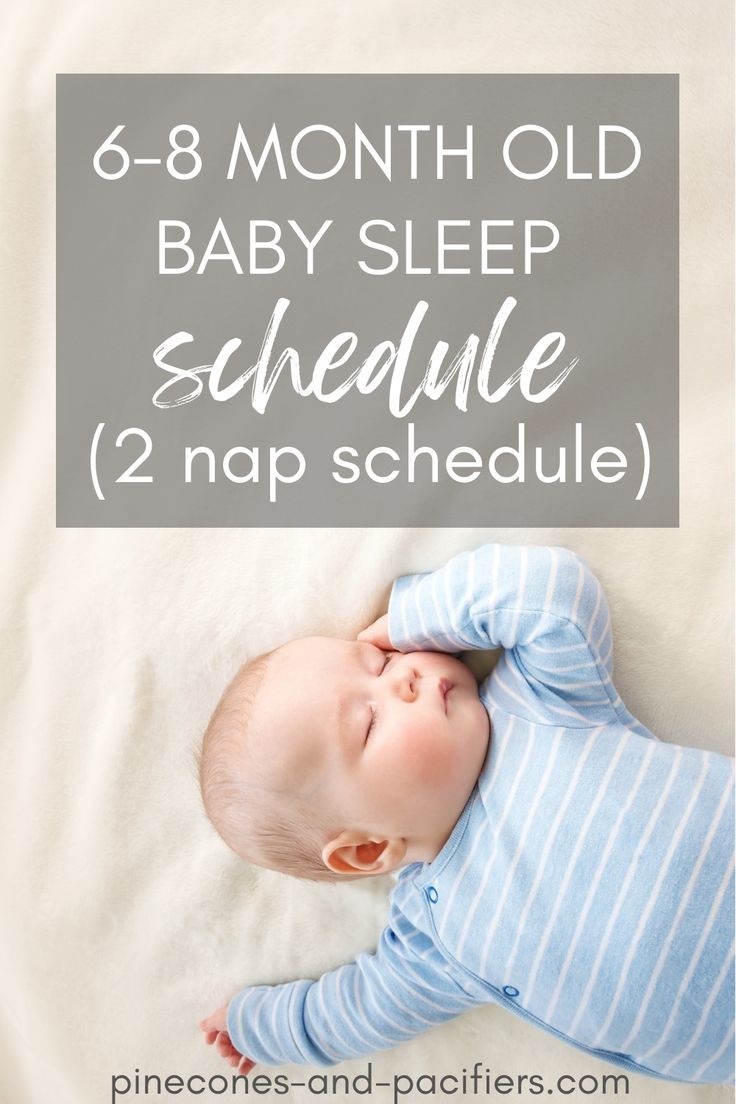 8 Month Old Sleep, 6 Month Sleep Schedule, Baby Schedule, Toddler ...