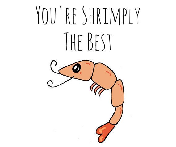 a shrimp with the words you're shrimply the best