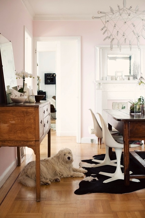 a dog laying on the floor in front of a dining room table