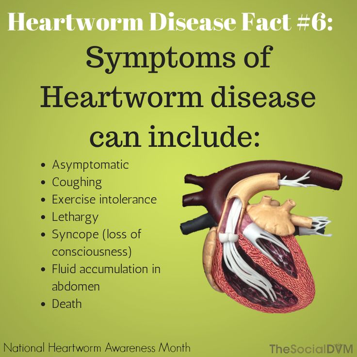 the heart is shown with words describing it's different functions and features in this poster