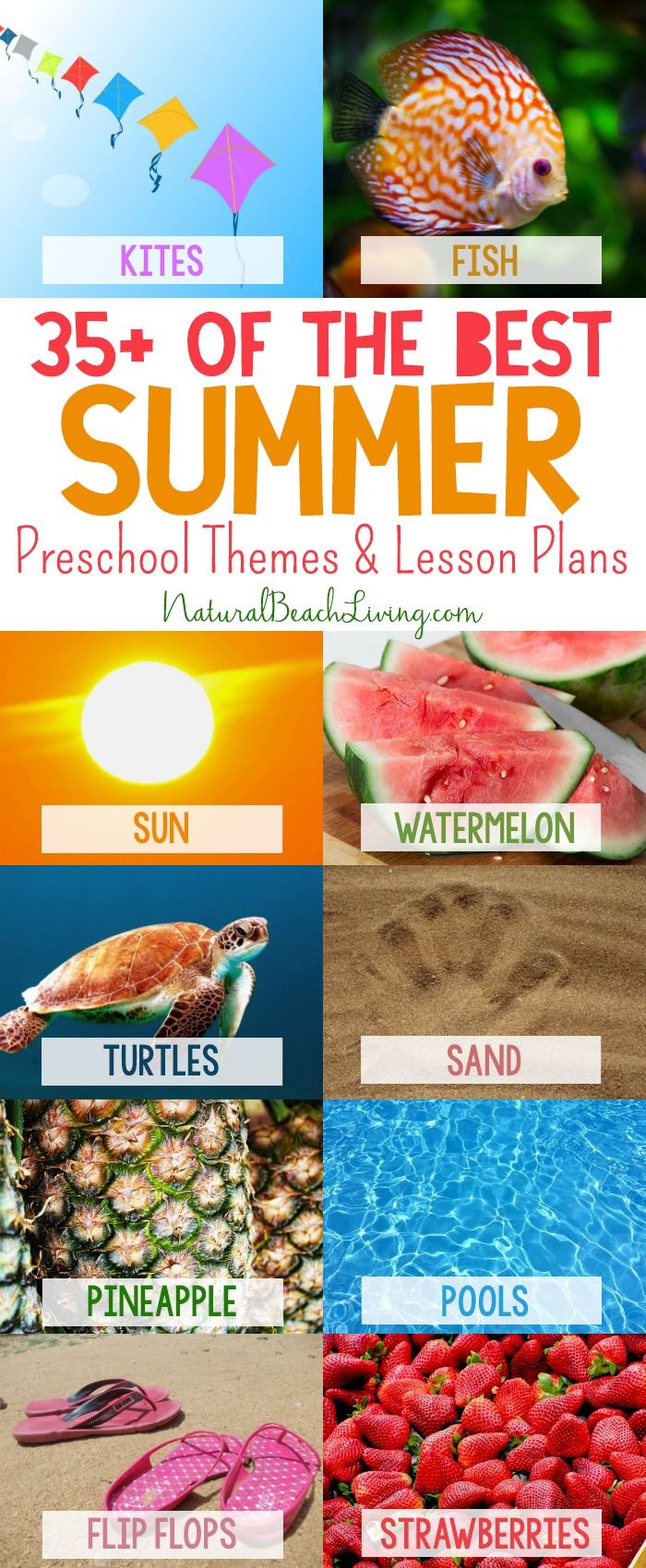 an image of the best summer preschool themes and lesson plans