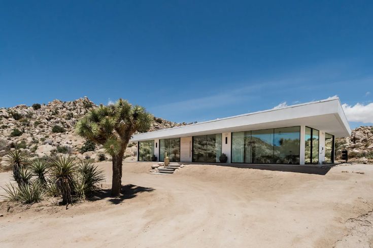 a house in the desert with a palm tree