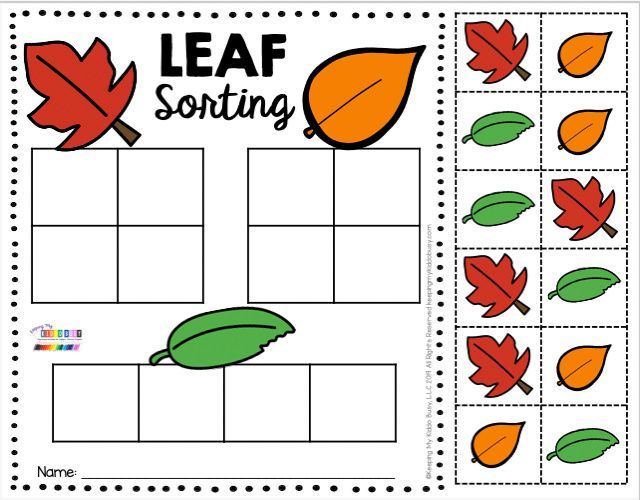 a leaf sorting game with leaves on it