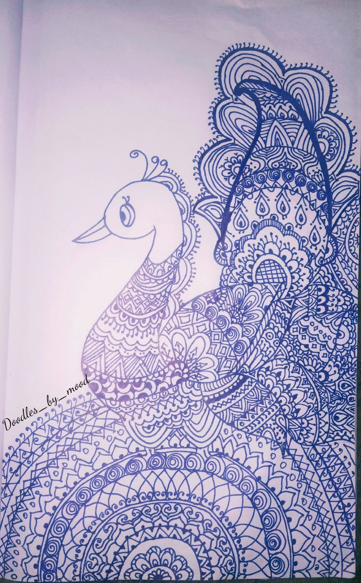 a drawing of a peacock in blue ink