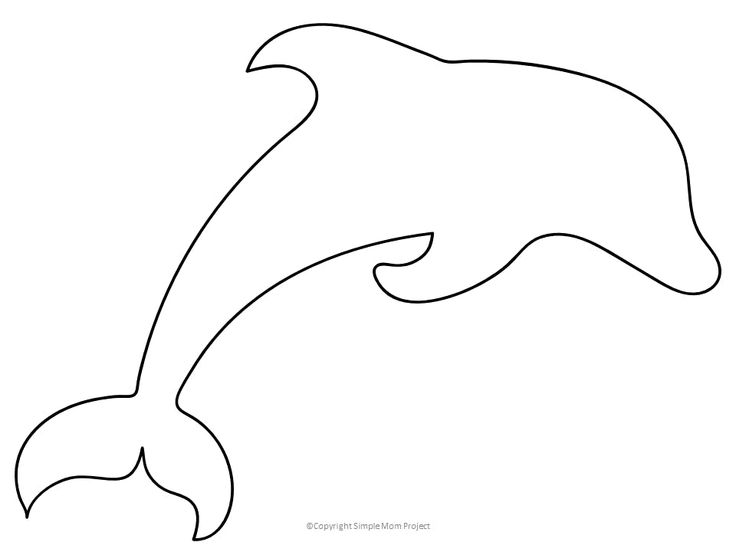 the outline of a dolphin's head