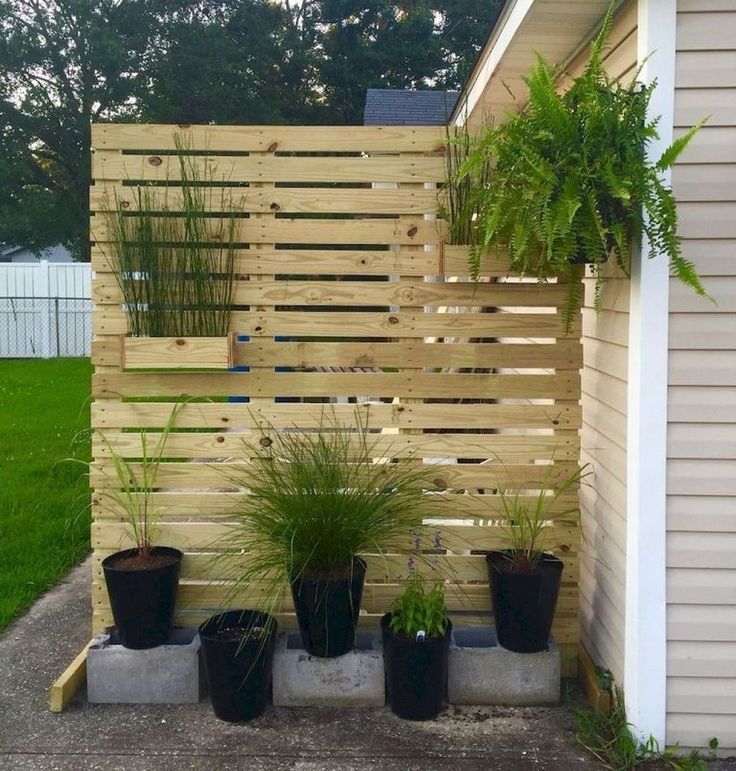 several potted plants in front of a wooden privacy screen on the side of a house