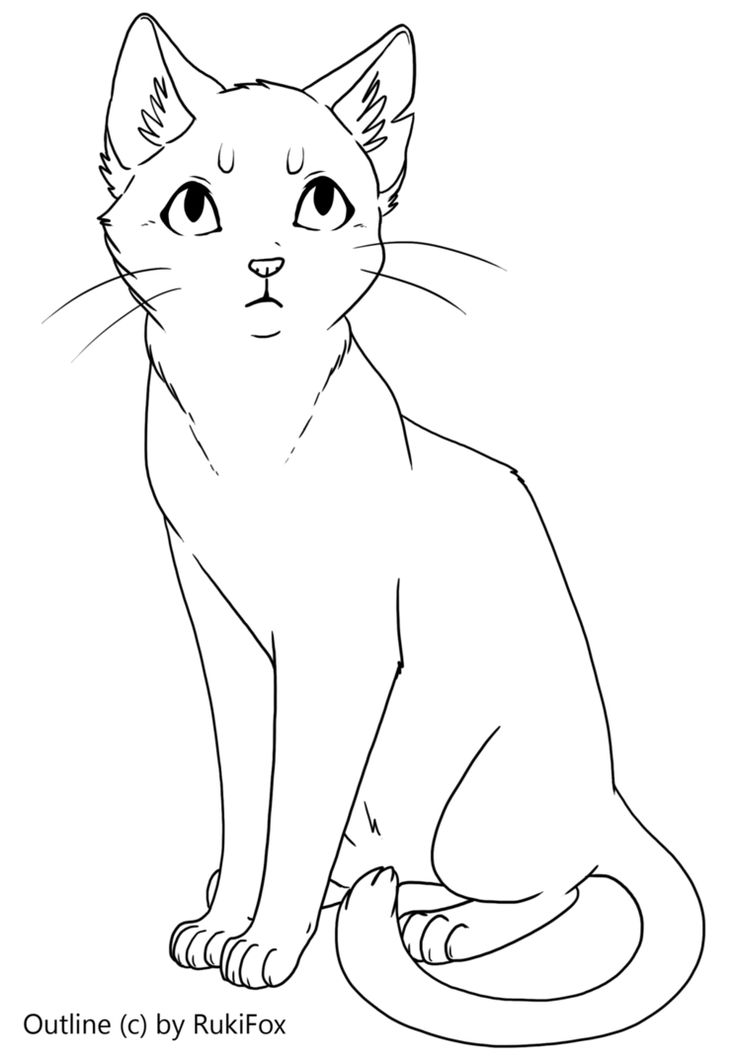 Shorthair Cat Template by RukiFox on DeviantArt | Cat template, Cats