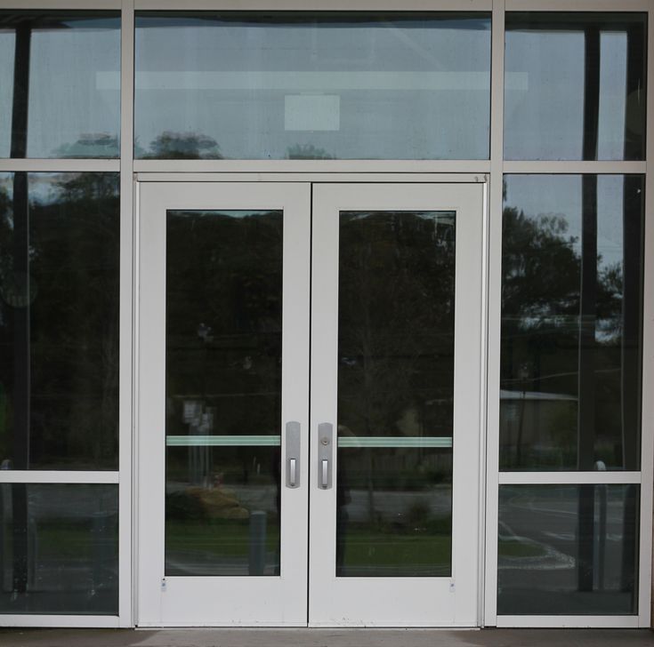 the dog is standing in front of the glass doors