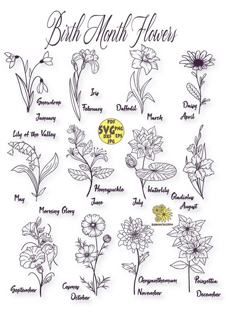 the birth month flowers are shown in black and white, with different names on them