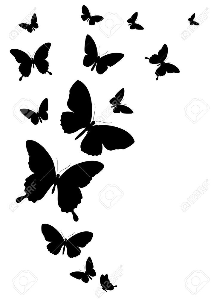 black and white silhouettes of butterflies flying in the air stock photo - 71798