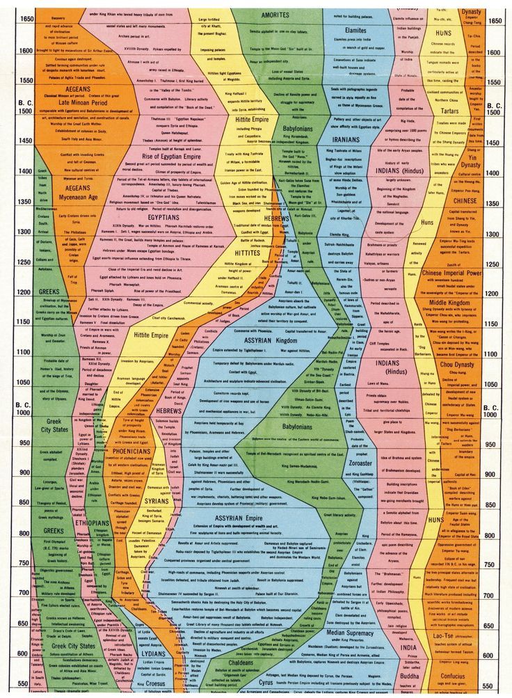 a large poster with different types of lines and colors on the bottom half of it