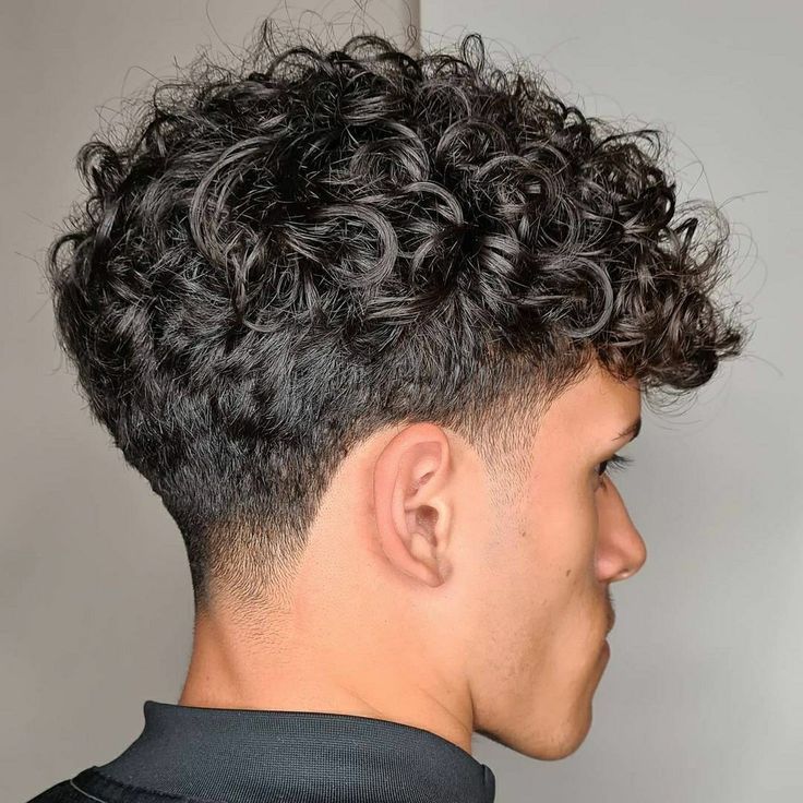 Low Fade Long Curly Hair Men, Men’s Curly Hair Taper, Perm Fade Haircut, Low Taper For Curly Hair, Type 2c Curly Hair Hairstyles Men, Taper Haircut Men Curly, Taper Fade With Wavy Hair, Curly Hair With Beard Style, Tapper Fade Men Curly Long Hair