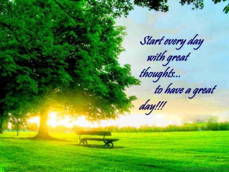 a park bench sitting under a tree with the sun shining behind it and a quote about start every day with great thought to have a great day