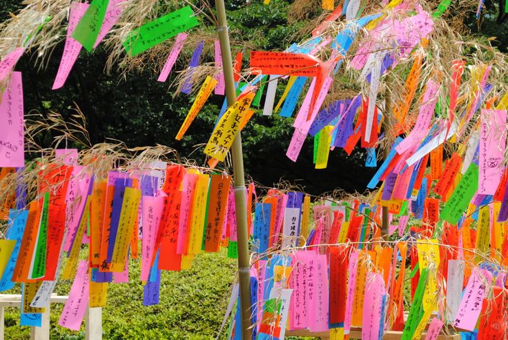 many colorful streamers hanging from a tree in front of some bushes and trees with writing on them