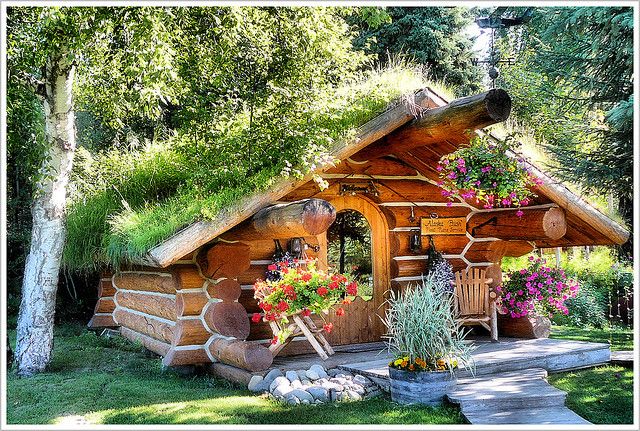 a small log cabin with flowers growing on the roof