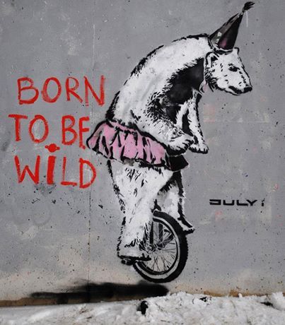 a painting on the side of a building that says born to be wild with a dog riding a bike