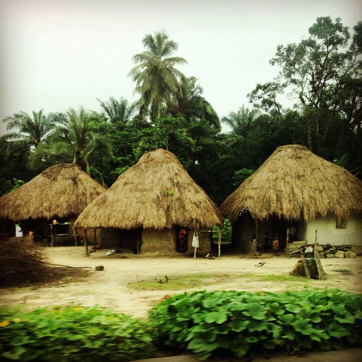 thatched huts with grass roofs in front of palm trees and greenery on the other side