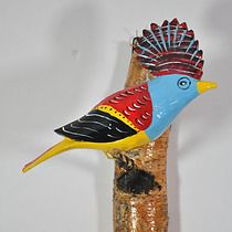 a colorful bird sitting on top of a tree branch next to a black bug in it's mouth