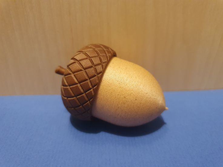 an acorn is sitting on a blue surface