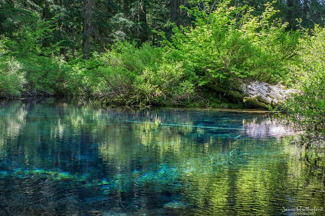 the water is crystal blue and clear in this photo, with trees around it's edge