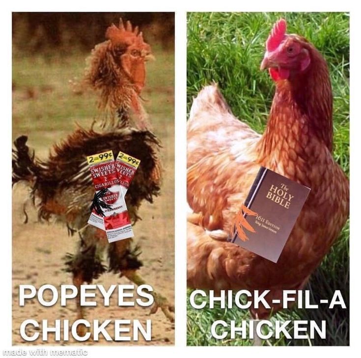 two pictures of chickens, one with a bag of chicken food