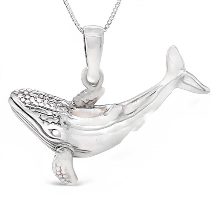 A Super Silver whale pendant on a chain inspired by the Santa Cruz ocean. Silver Sterling Silver Large Pendant Jewelry, White Gold Sterling Silver Necklace With Large Pendant, Polished Sterling Silver Jewelry, Sterling Silver Jewelry With Large Pendant, Silver Sterling Silver Pendant Necklace, Silver Sterling Silver Necklace With Pendant, Sterling Silver Necklace With Pendant, Sterling Silver Charms Necklace For Collectors, Sterling Silver White Gold Charms Jewelry