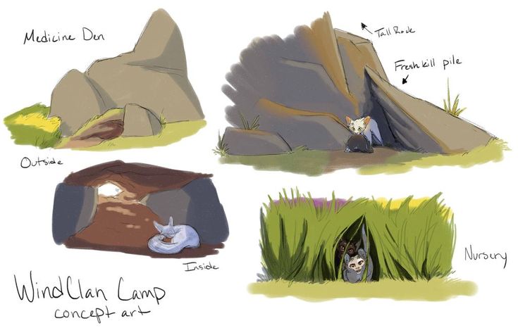 four different types of caves with cats and dogs in them, including one ...