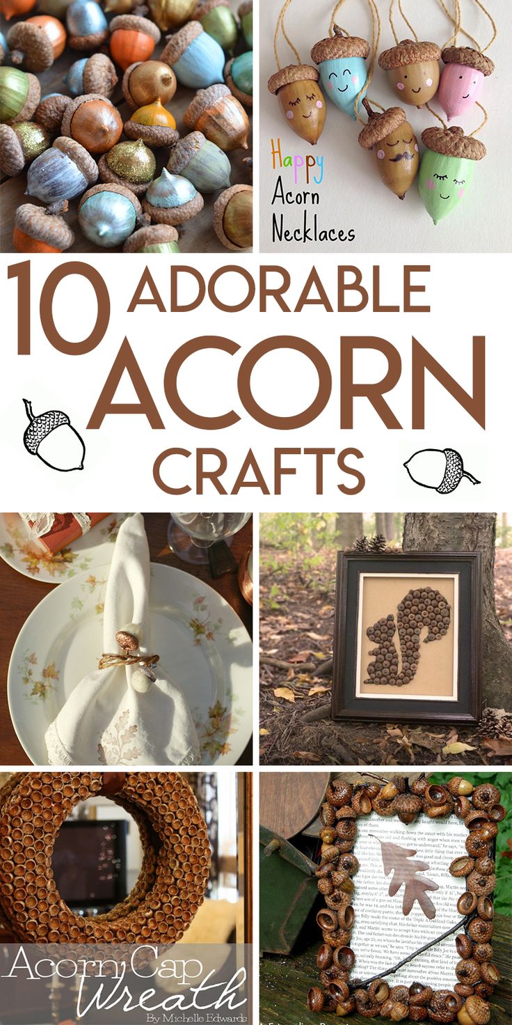 the top ten adorable acorn crafts