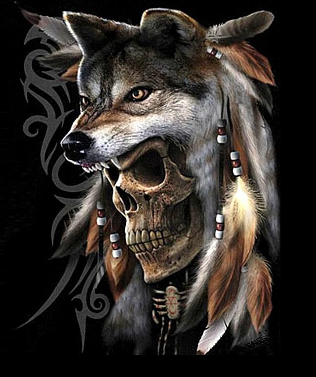 a drawing of a wolf with feathers on his head and skull in the foreground