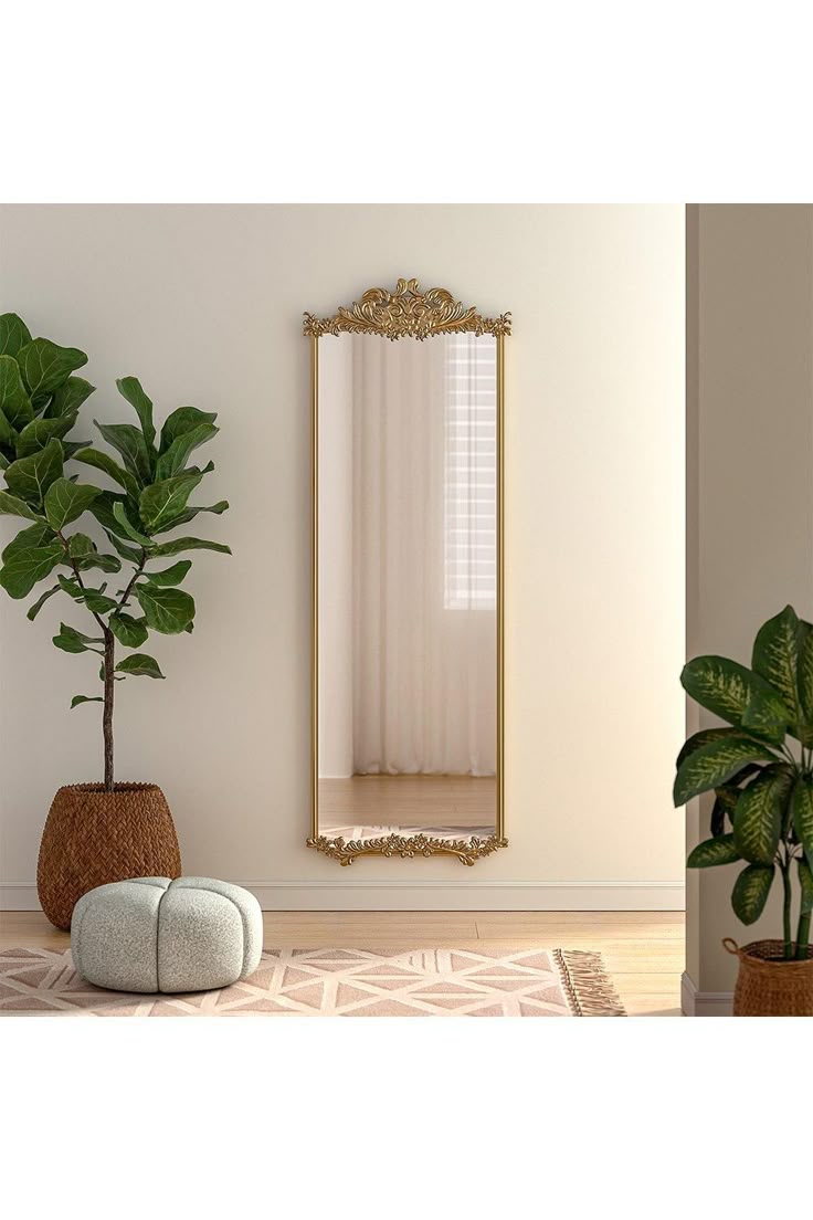 there is a mirror and potted plant on the floor in front of the wall