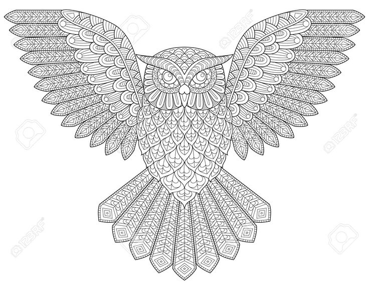 an owl with intricate patterns on it's wings is shown in black and white