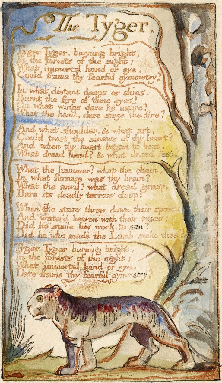 an illustration of a tiger in front of a tree with the words, the tiger