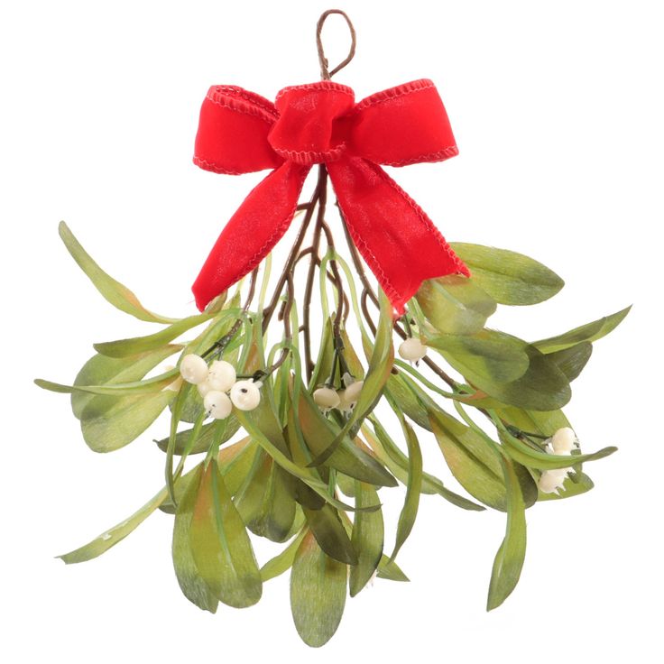 a red bow hanging from the side of a christmas ornament with green leaves