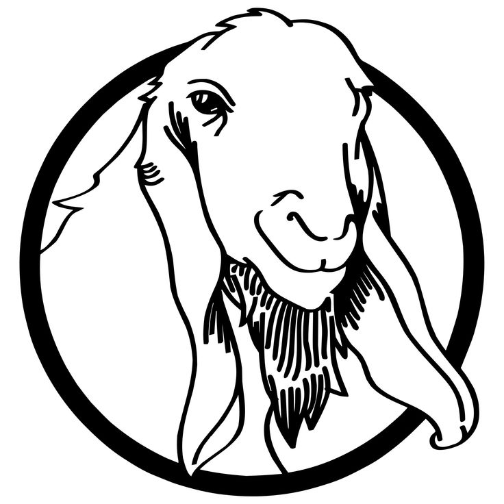 the head of a goat with a scarf around it's neck in a circle