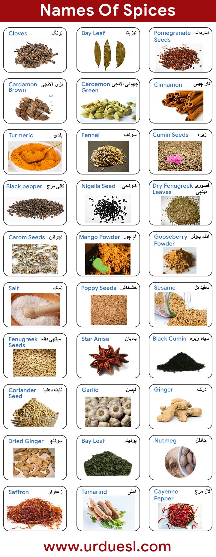 Indian Spices List, List Of Spices, Herbs & Spices, Indian Food List ...