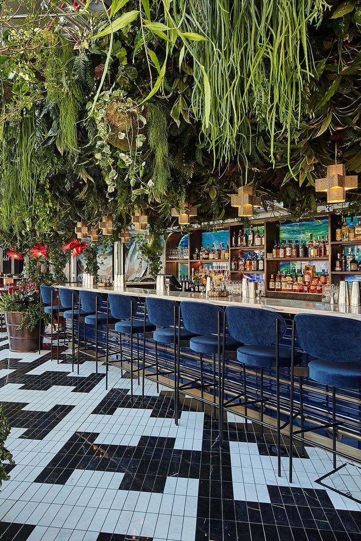 an outdoor bar with blue chairs and plants hanging from the ceiling