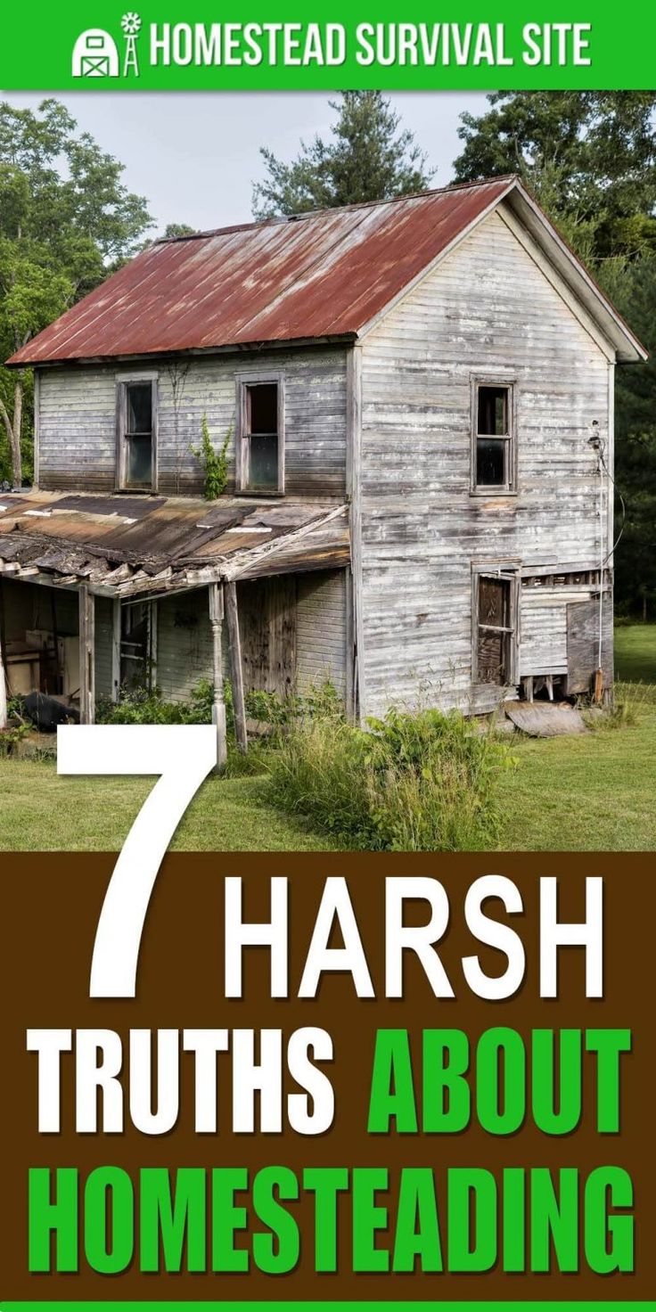 7 Harsh Truths About Homesteading - Homestead Survival Site Going Off The Grid, Homesteading Diy, Primitive Survival, Homestead Farm, Survival Quotes, Homesteading Skills, Homestead Living, Survival Gardening, Living Off The Land