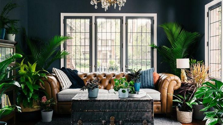 a living room filled with furniture and lots of plants on top of a coffee table