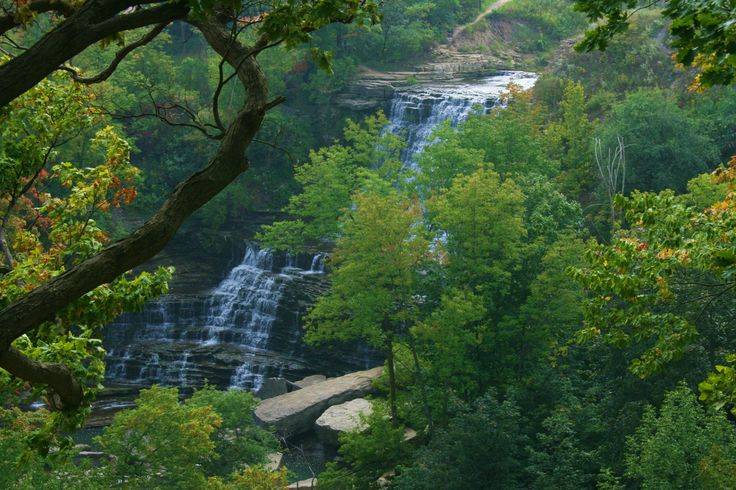 a waterfall in the middle of a forest