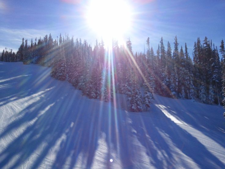 the sun shines brightly over snow covered trees