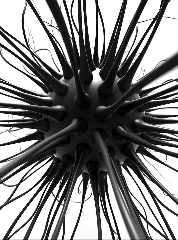 3d art with abstract black bacteria or virus in spherical shape with long wavy tentacles on white background Matte Gloss, Nature Posters, Magnetic Wall, Wood Patterns, New Artists, Cool Artwork, 3d Art, Trees To Plant, Metal Posters