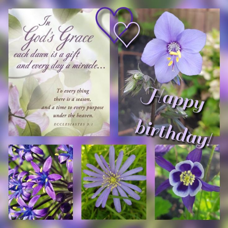 purple flowers are shown with the words, god's grace and every day a marriage