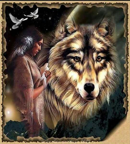 Pluma blanca | Native american wolf, Native american artwork, Native ...